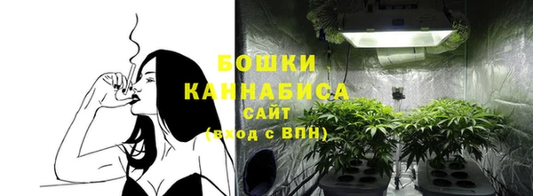PSILOCYBIN Бородино
