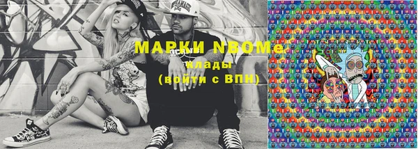 PSILOCYBIN Бородино