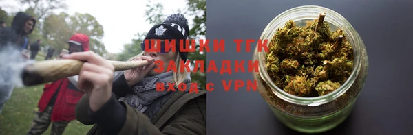 PSILOCYBIN Бородино