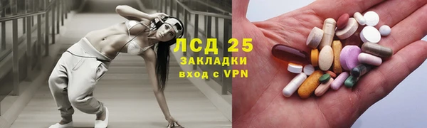 PSILOCYBIN Бородино