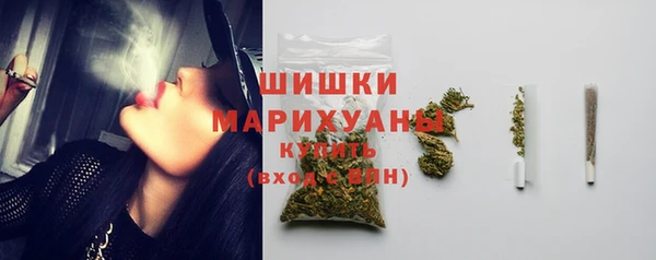 PSILOCYBIN Бородино