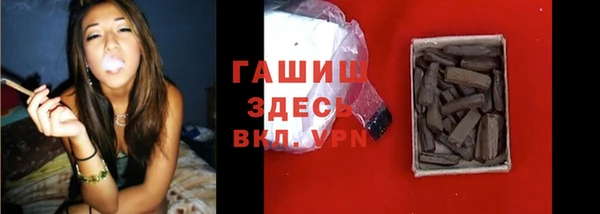 PSILOCYBIN Бородино